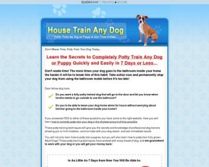 dogtrain12-x400-thumb.jpg