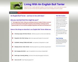 reabis-x400-thumb.jpg