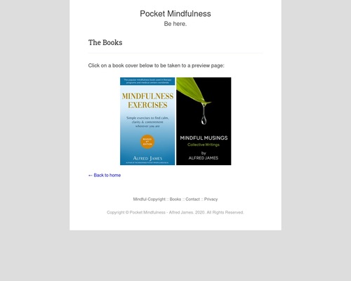 pocketmind-x400-thumb.jpg