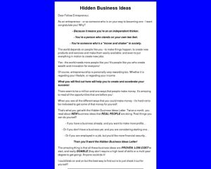 hiddenbiz-x400-thumb.jpg
