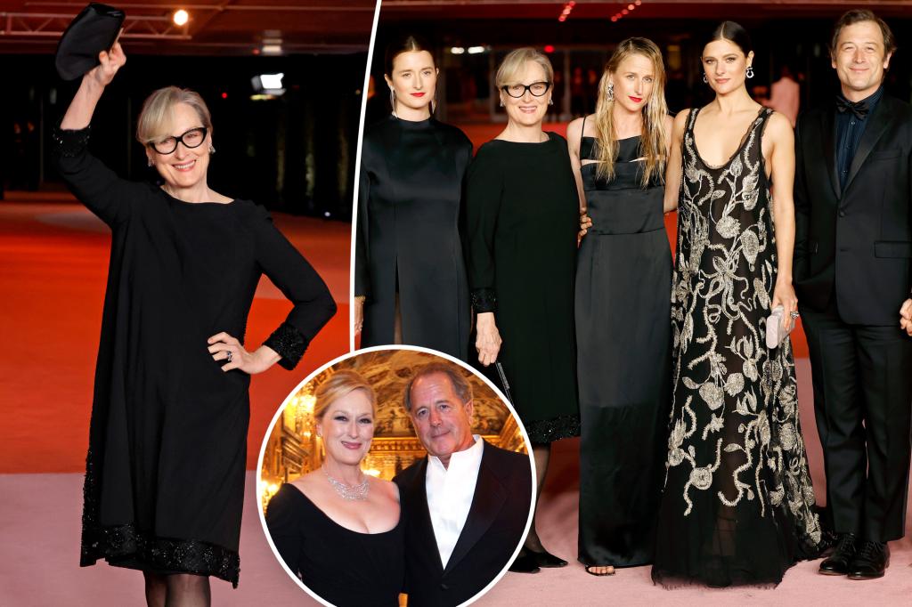 Meryl-Streep-makes-rare-red-carpet-appearance-with-all-4-kids-after-revealing-Don-Gummer-separation.jpg